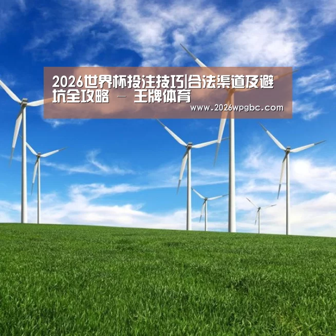 风能