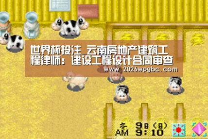 世界杯投注_云南房地产建筑工程律师:建设工程设计合同审查要点(图3) 世界杯投注