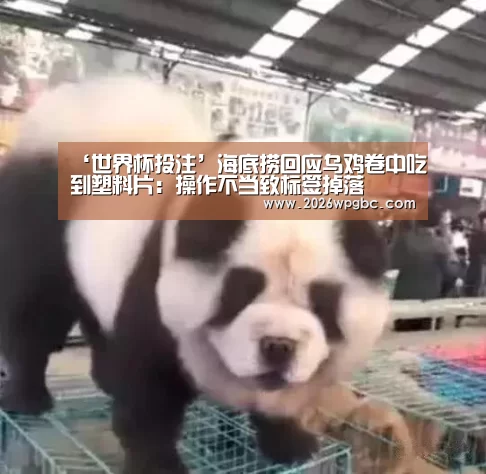 ‘世界杯投注’海底捞回应乌鸡卷中吃到塑料片:操作不当致标签掉落(图1) 世界杯投注
