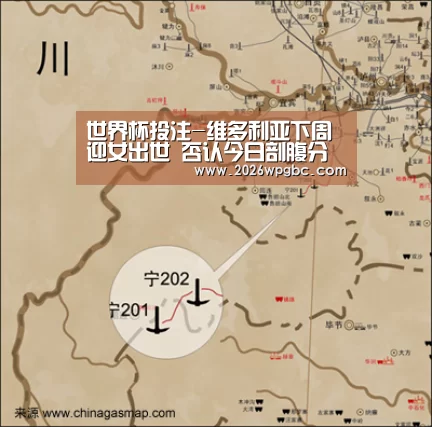 世界杯投注