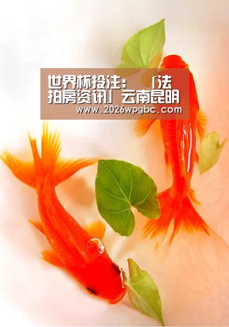 世界杯投注:
「法拍房资讯」云南昆明滇池卫城滟澜湾一房产以392万元成交(图1) 世界杯投注