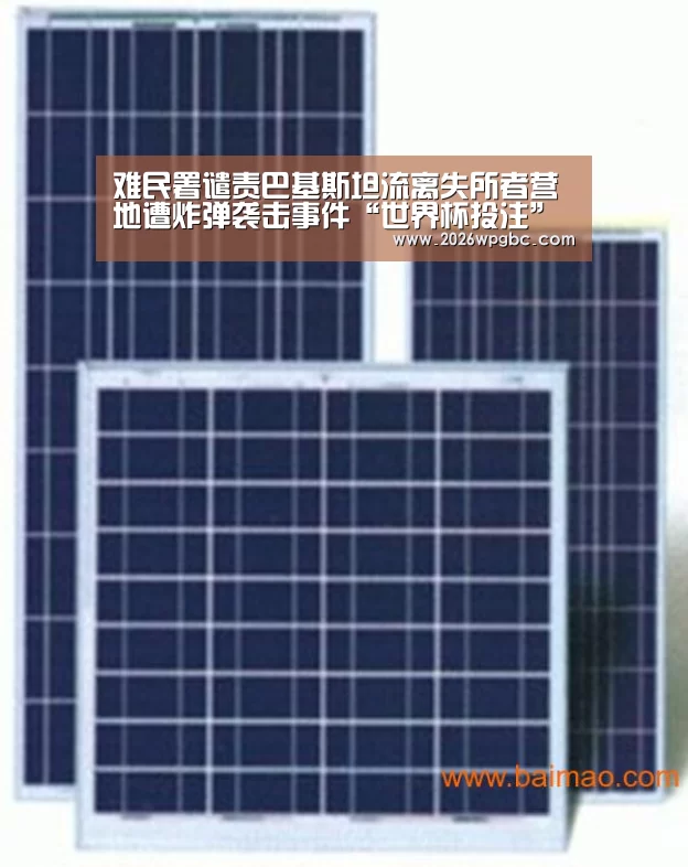 世界杯投注