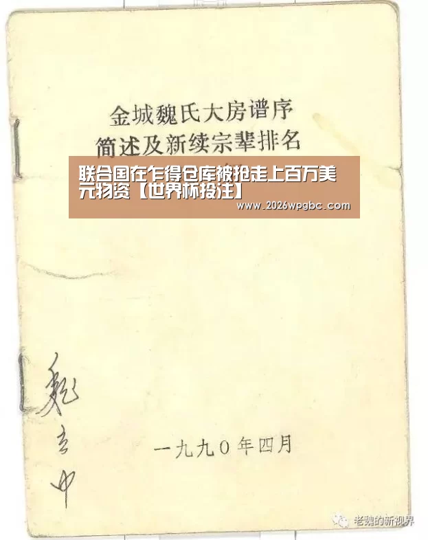 联合国在乍得仓库被抢走上百万美元物资【世界杯投注】(图1) 世界杯投注
