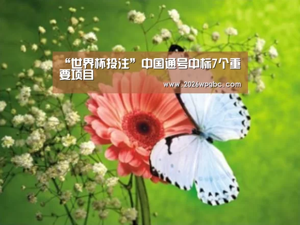 世界杯投注
