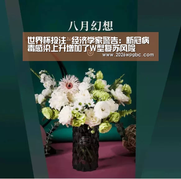 世界杯投注-经济学家警告:新冠病毒感染上升增加了W型复苏风险(图2) 世界杯投注