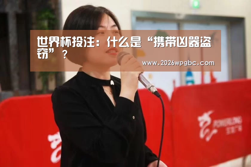 世界杯投注:什么是“携带凶器盗窃”?(图4) 世界杯投注