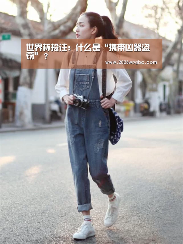 世界杯投注:什么是“携带凶器盗窃”?(图3) 世界杯投注