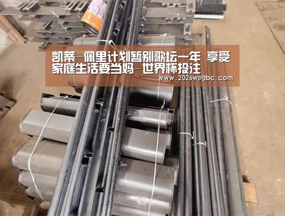 凯蒂-佩里计划暂别歌坛一年 享受家庭生活要当妈-世界杯投注(图4) 世界杯投注