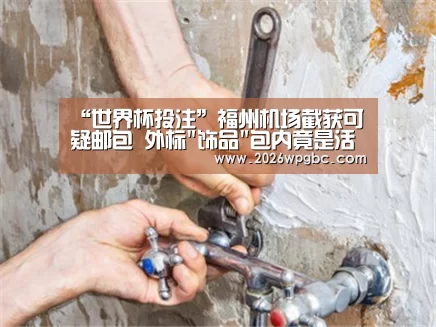 “世界杯投注”福州机场截获可疑邮包 外标饰品包内竟是活虾苗(图1) 世界杯投注
